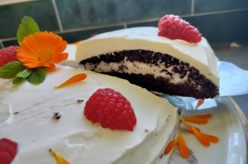 Pastel de Chocolate y Coco